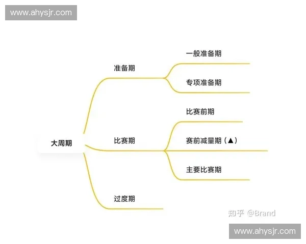科学周期化训练计划助力体能全面提升与运动表现优化